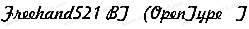 Freehand521 BT 常规(OpenType   TrueTy字体转换